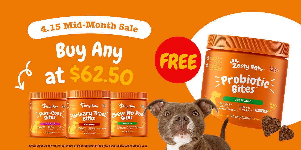 Buy Selected 90ct Bites, Get Free Probiotic Bites