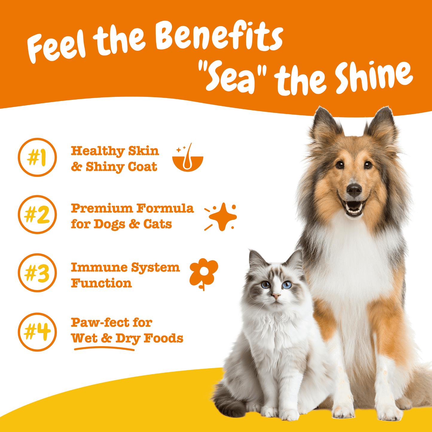 Zesty Paws Omega Boost Salmon Oil Blend 250ML (3× more Salmon Oil)