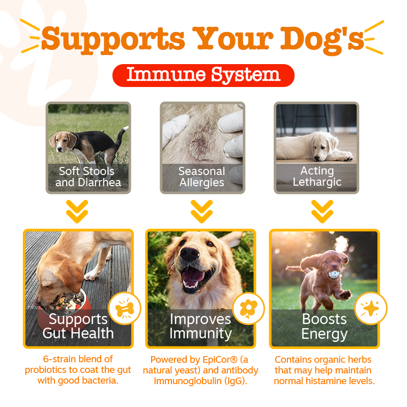 Allergy & Immunity Bites