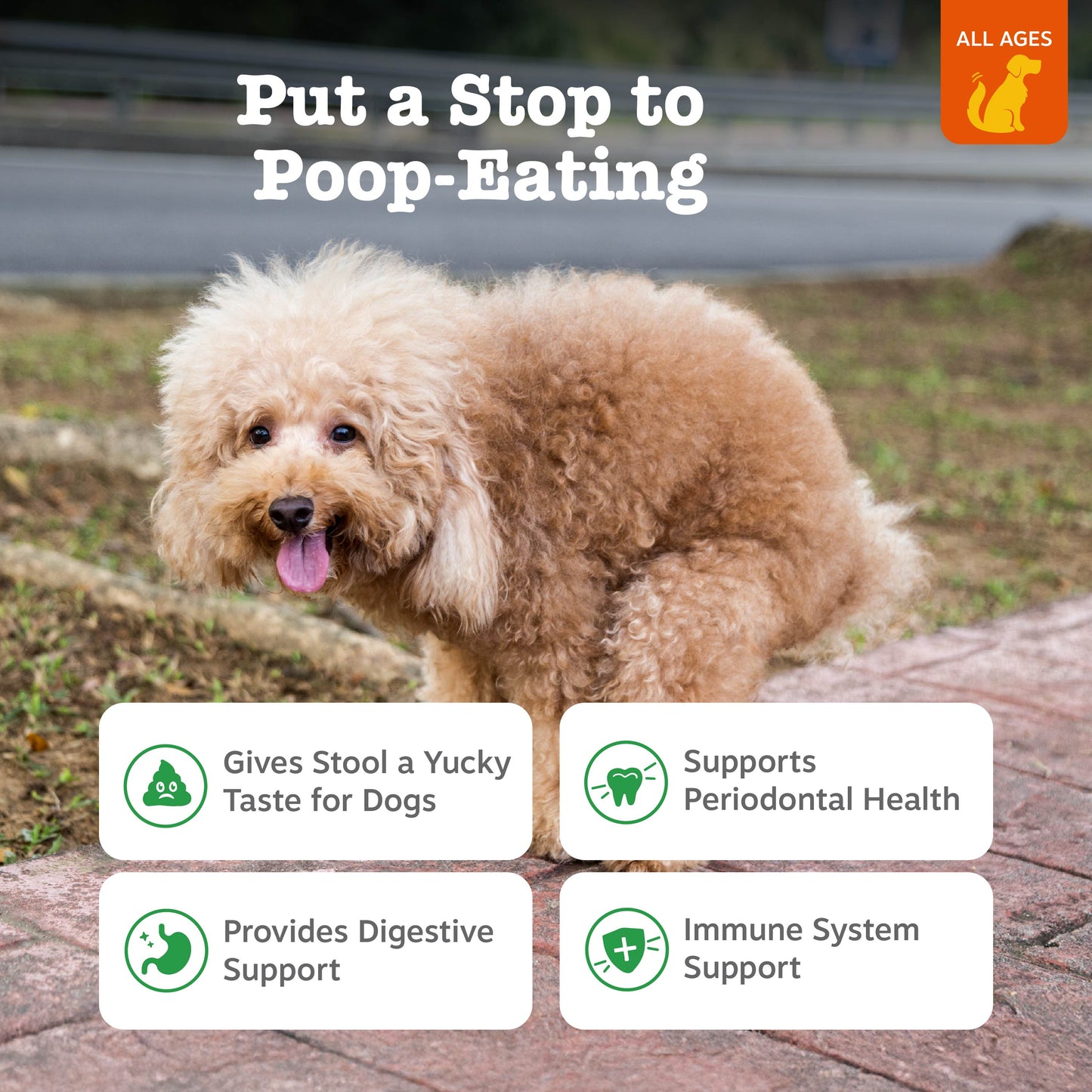 Chew No Poo Bites
