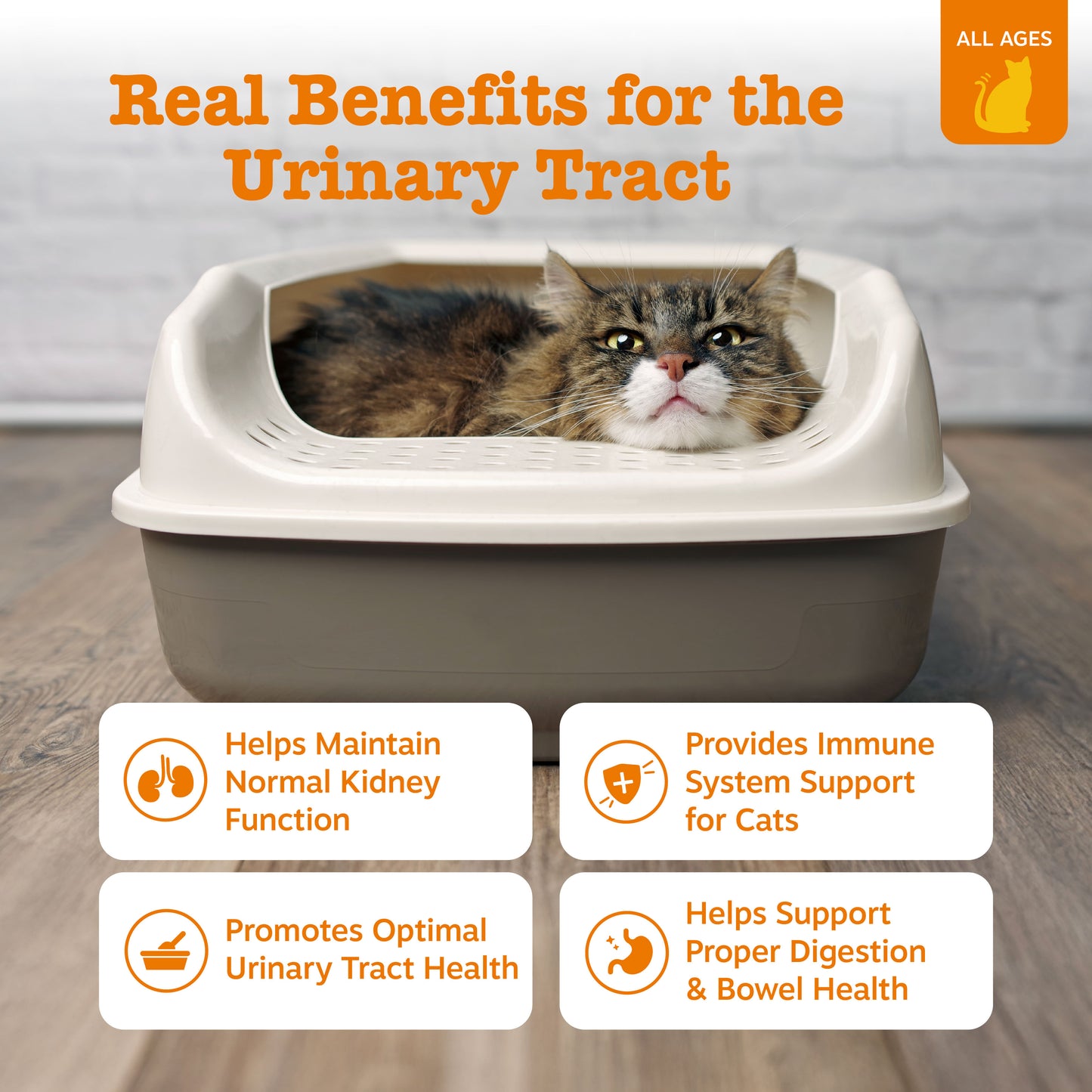 Cat Mousse Urinary Tract