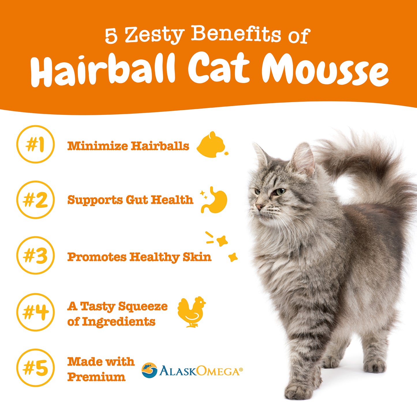 Total Wellness Bundle (4-in-1) Cat Mousse