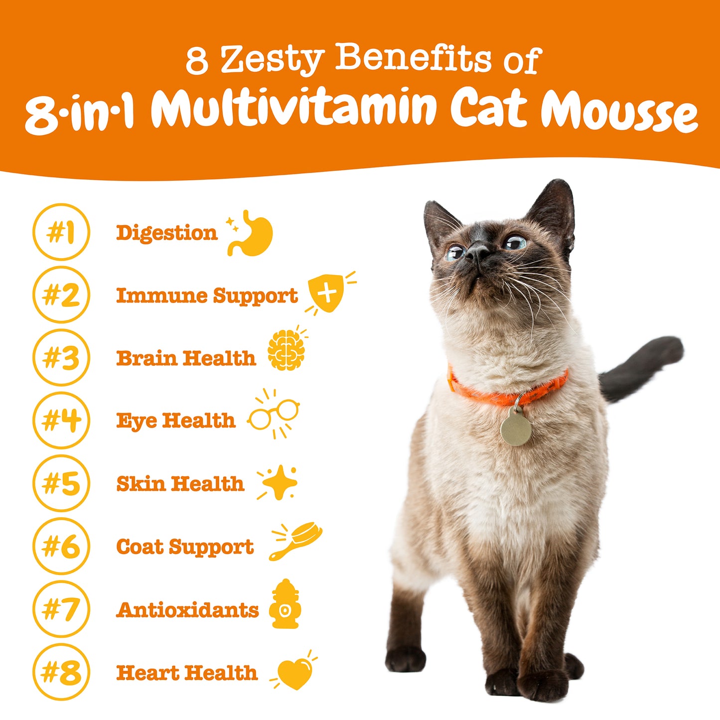 Total Wellness Bundle (4-in-1) Cat Mousse
