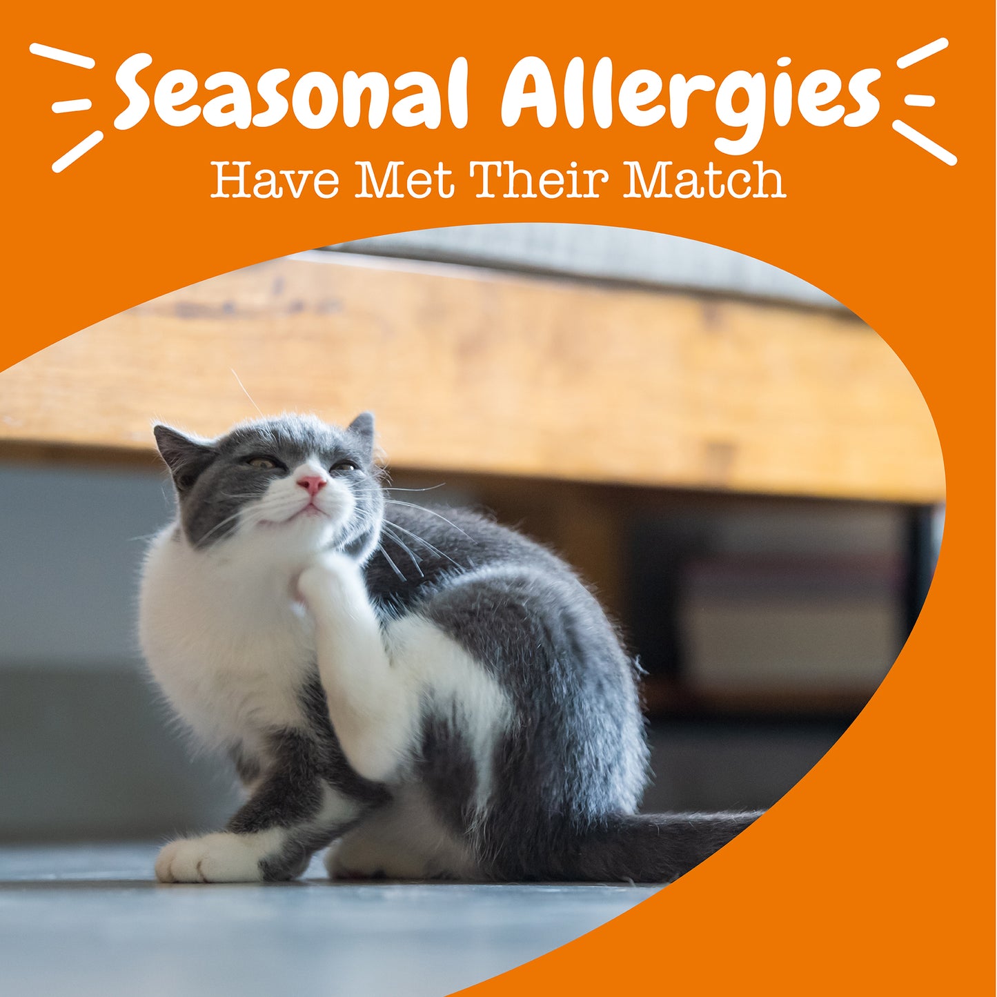 Cat Mousse Allergy & Immune