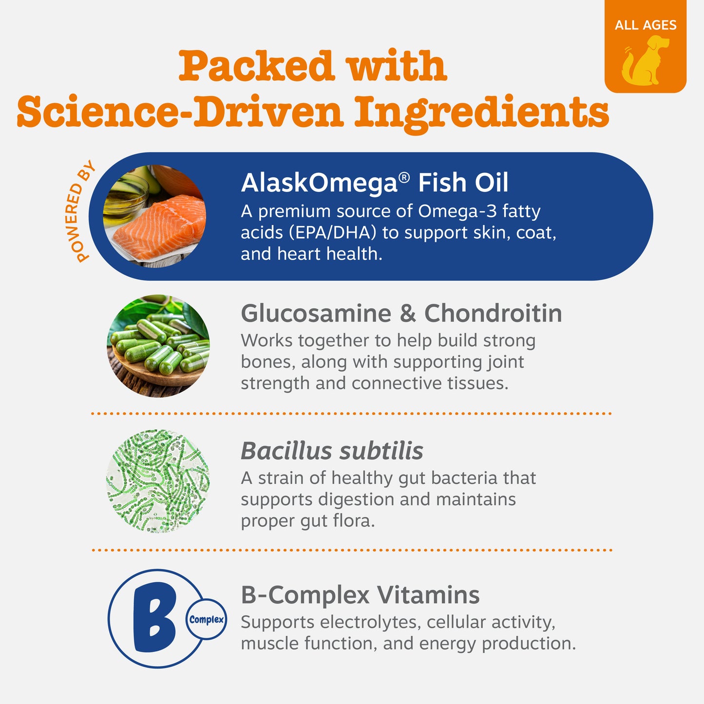 8-in-1 Multivitamin Bites