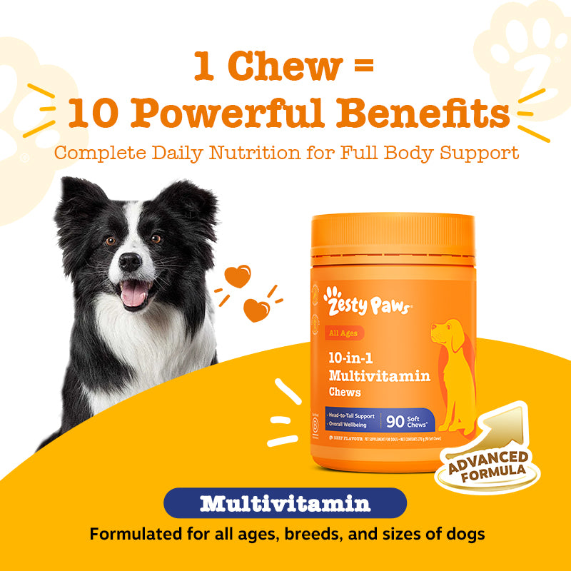 Advanced Chews Discovery 3 Sachet Pack