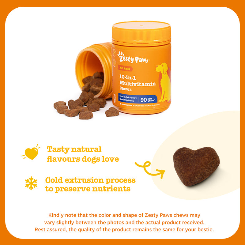 10-in-1 Multivitamin Chews