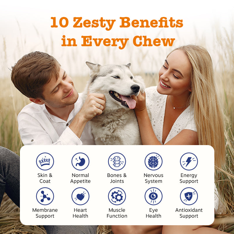 10-in-1 Multivitamin Chews