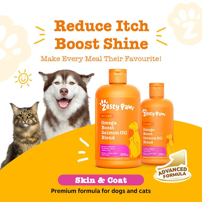 Omega Boost Salmon Oil Blend 250ML (3× more Salmon Oil)