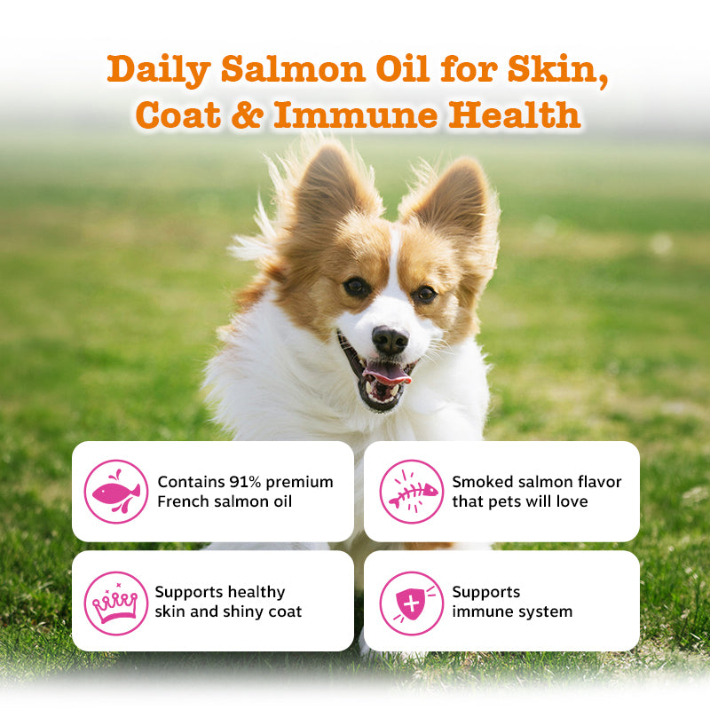 Omega Boost Salmon Oil Blend 250ML (3× more Salmon Oil)