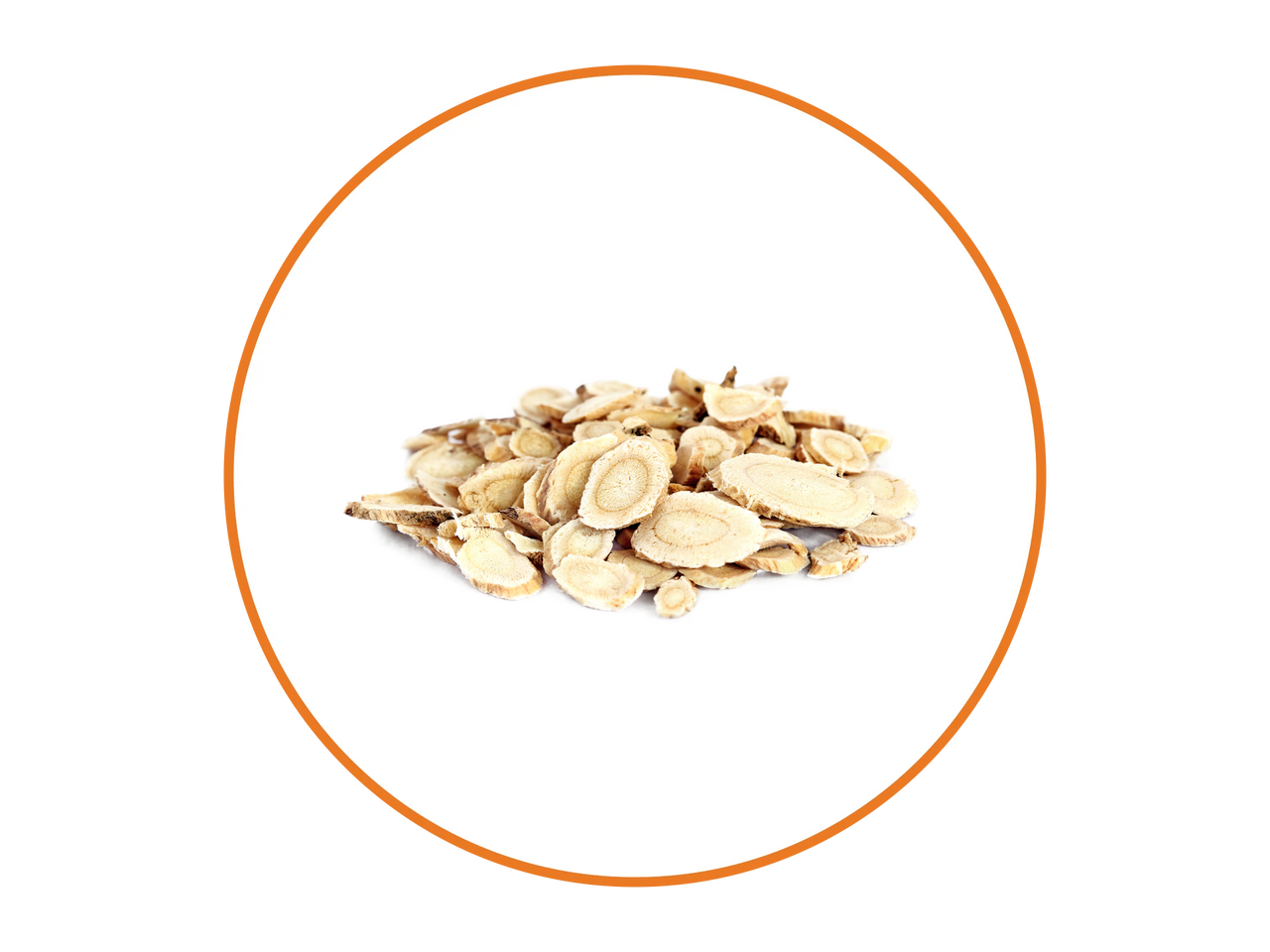 Astragalus Roots