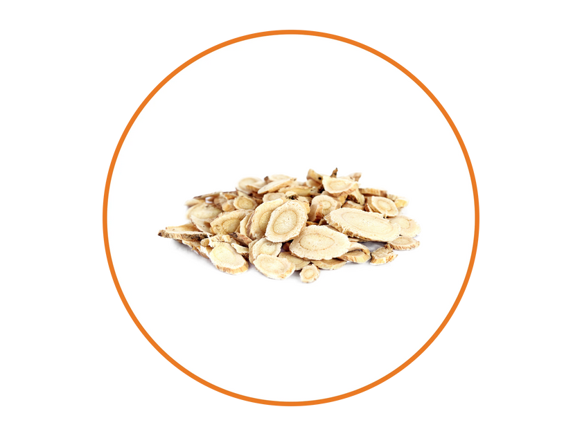 Astragalus Roots