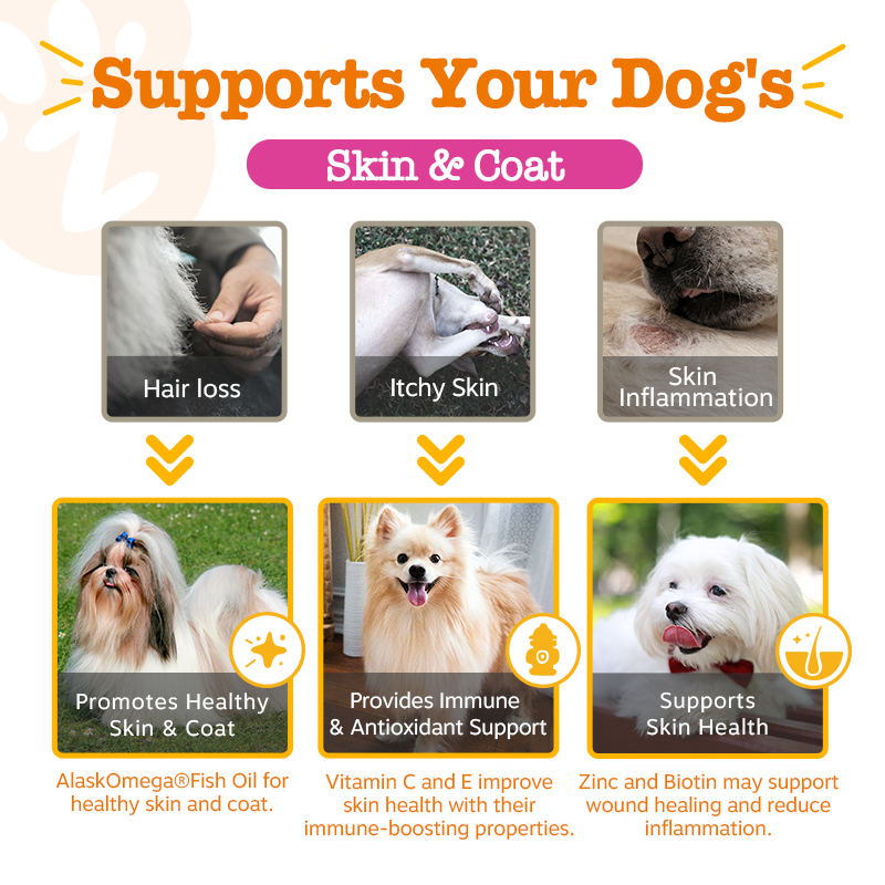 Zesty Paws Inside-out Bundle (Skin & Coat, Urinary Tract & Probiotic Bites 90ct)
