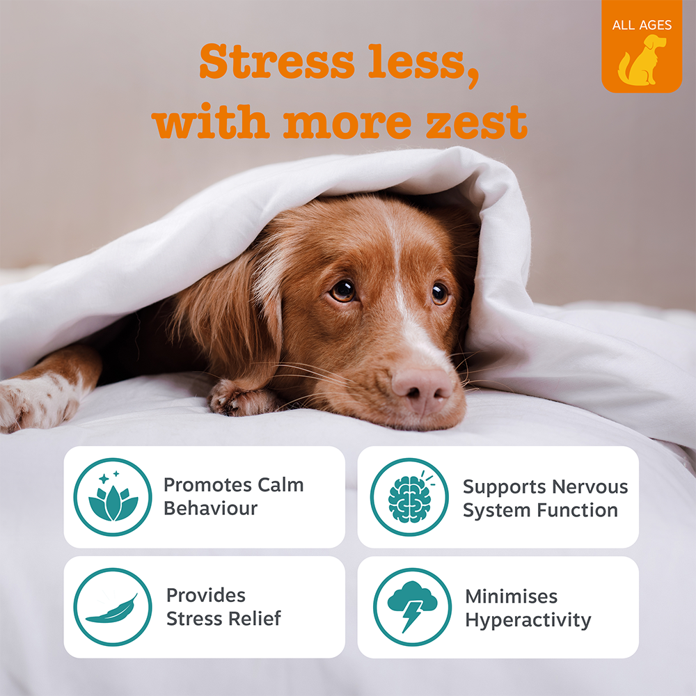 (Advanced Formula & Advanced Range) Calming Chews