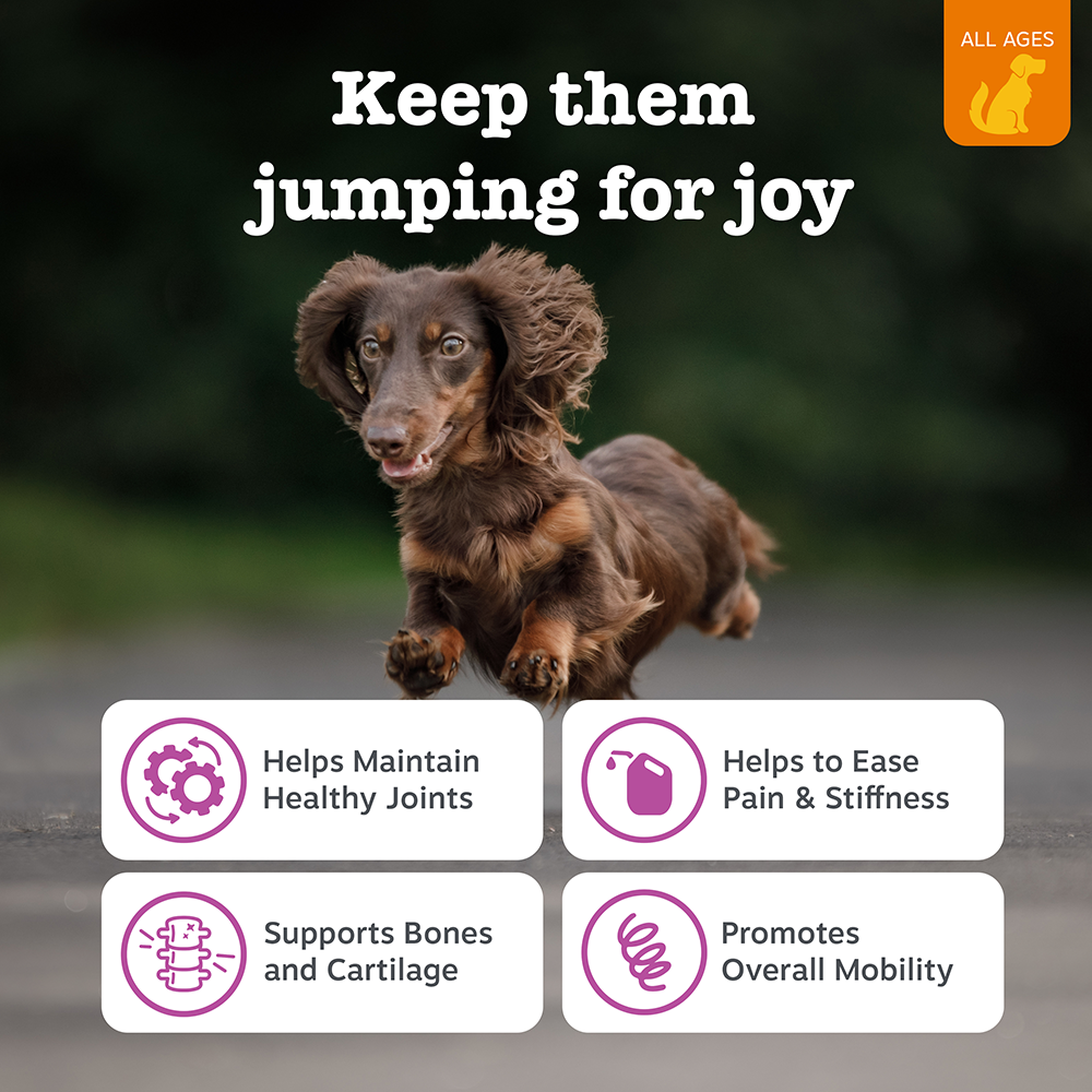 (Advanced Formula & Advanced Range) Hip & Joint Chews