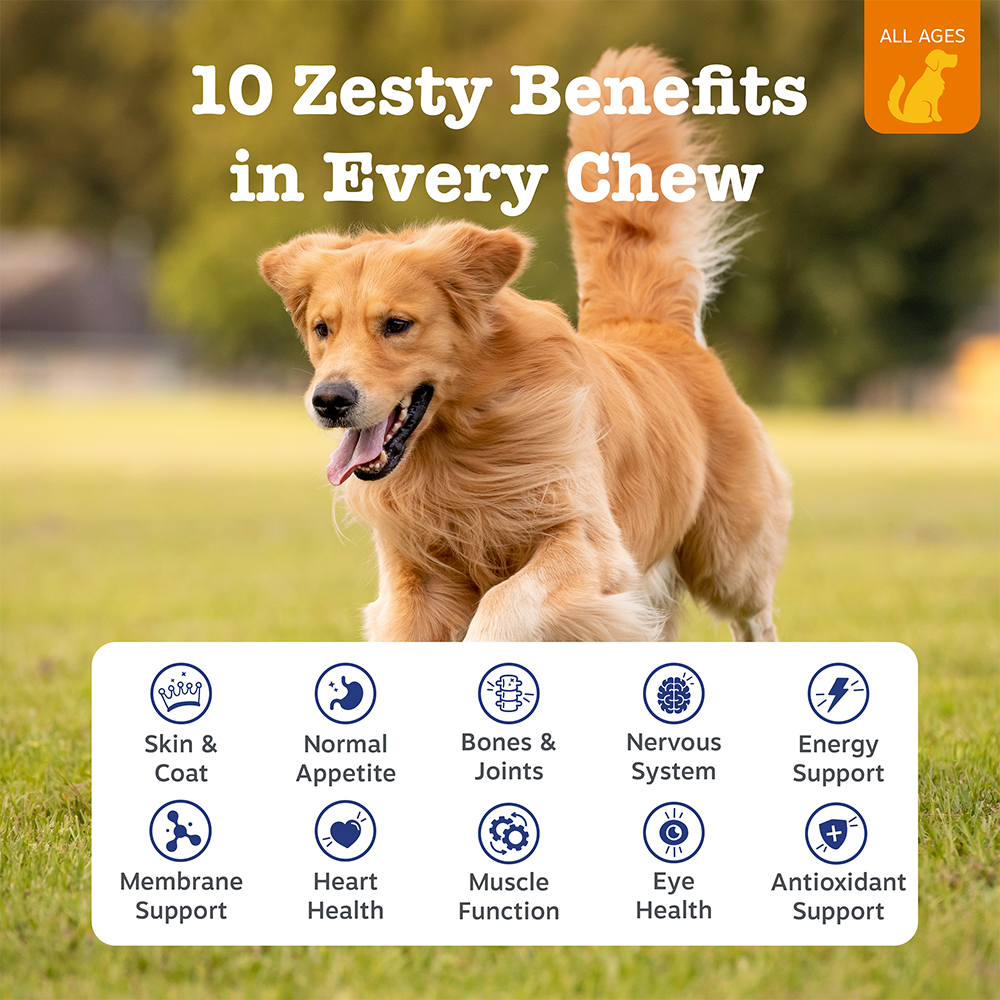 (Enhanced Range) 10-in-1 Multivitamin Chews