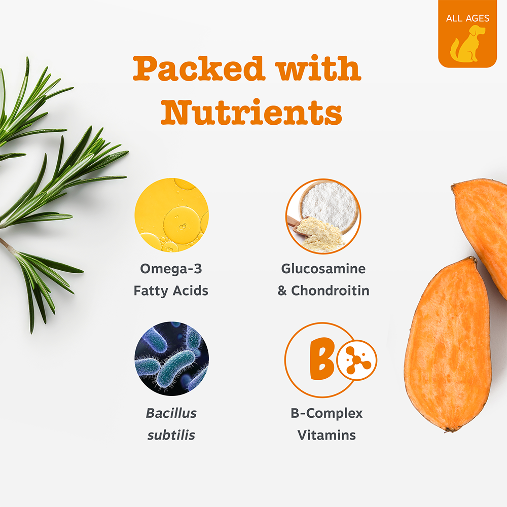 (Enhanced Range) 10-in-1 Multivitamin Chews