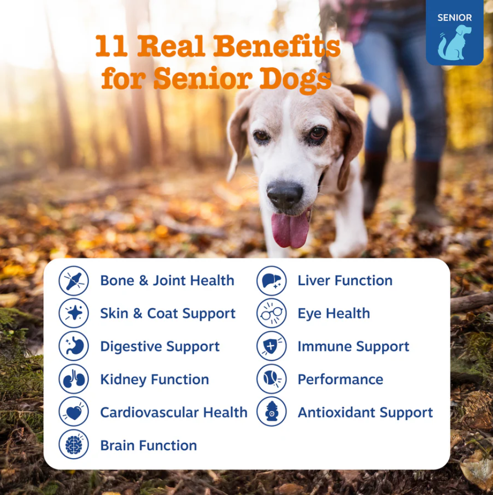 Senior Dog Joint Care Bundle