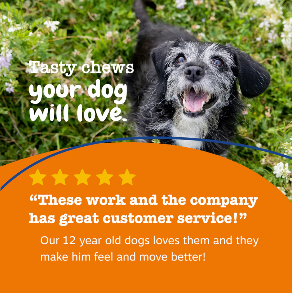 Senior Dog Joint Care Bundle
