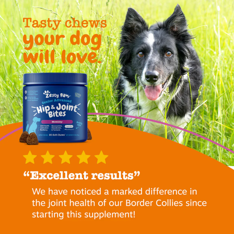 Senior Dog Joint Care Bundle