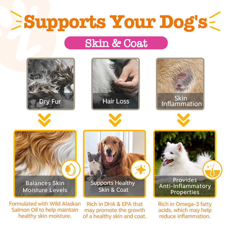 Zesty Paws Omega Boost Salmon Oil Blend 500ML (3× more Salmon Oil)