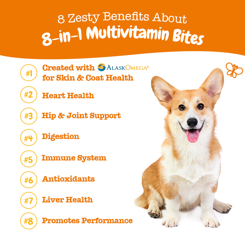 Pawfect Wellness Bundle