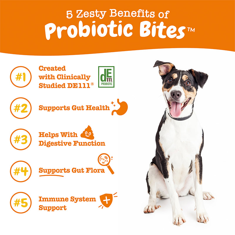 Pawfect Wellness Bundle